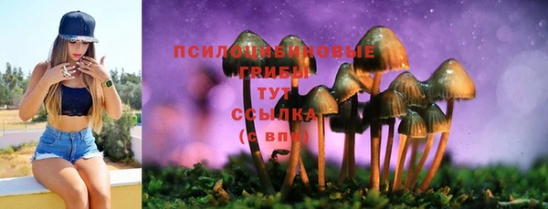 гидропоника Горно-Алтайск