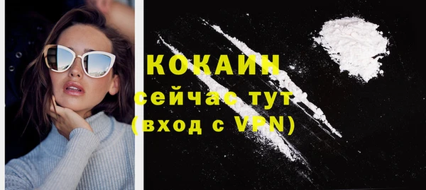 спайс Горняк