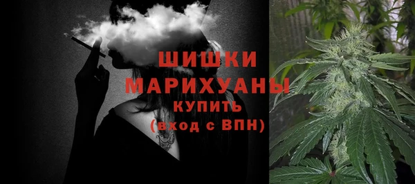 гидропоника Горно-Алтайск