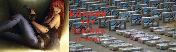 дживик Горнозаводск