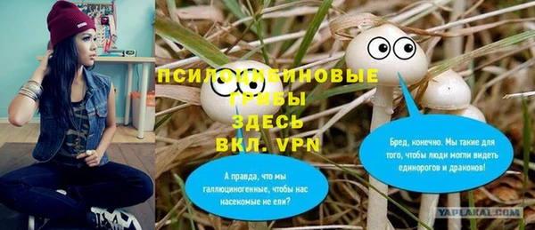 дживик Горнозаводск