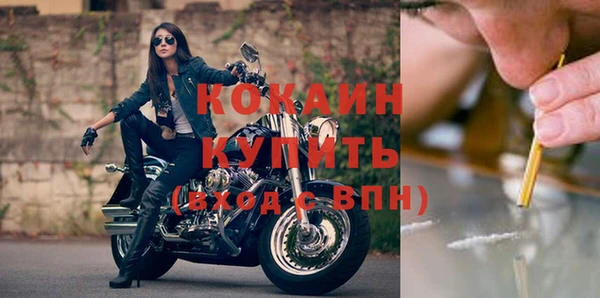 эйфоретик Кукмор