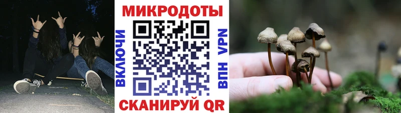 Псилоцибиновые грибы мицелий  наркотики  Назарово 