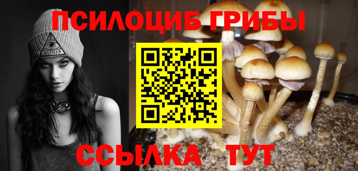 Галлюциногенные грибы Cubensis  Вход с VPN  Назарово 