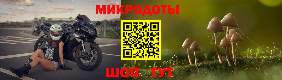 Галлюциногенные грибы Psilocybe  Галлюциногенные грибы Magic Shrooms  Назарово 