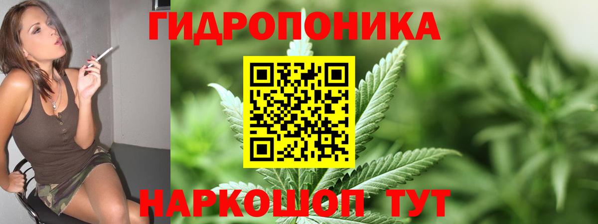 Конопля семена Назарово